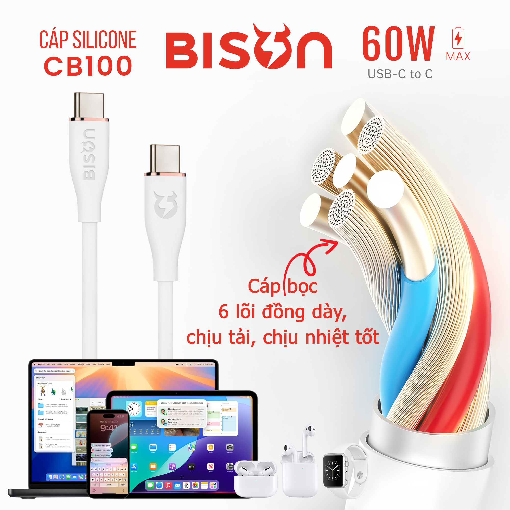 Cáp silicone Bison 60W, USB-C to C (C to C), sạc nhanh PD, CB100 (3)